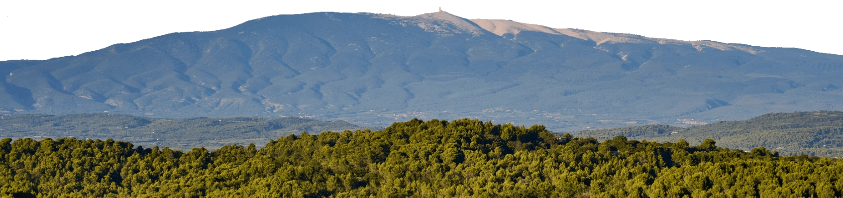 Paysage du territoire Porte du Ventoux avec en premier plan une forêt et au loin le Mont Ventoux